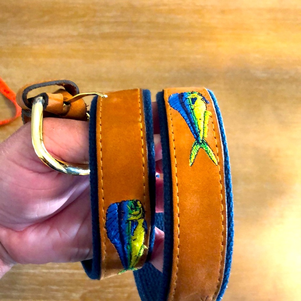 Dolphin belt